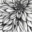 «Dahlia Flower Outline Style», reproduction sur toile
