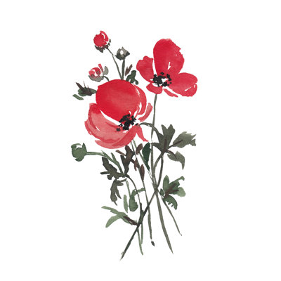 Teilynn August Poppy by Amanda Cook - Wrapped Canvas Print