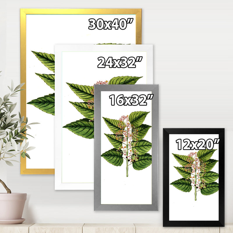 «Vintage Plant Life XXVI», peinture sur toile, Cadre photo blanc, H 40 po x l 30 po x 1,5 po