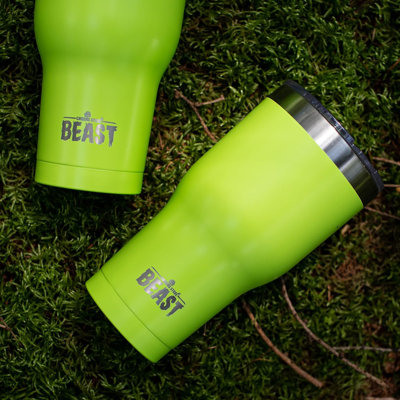 Dyzi 30.0 mL Double Wall Insulated Stainless Steel Travel Tumbler with