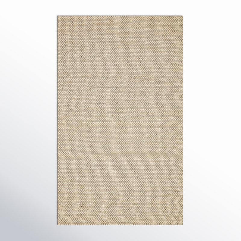 Abisai Checkered Indoor Rug, Rectangle 2'3" x 3'9"