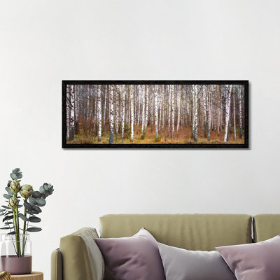 Silver Birch Trees In A ForestNarke, Sweden by Panoramic Images - Floater Frame Panoramic Gallery-Wrapped Canvas Giclée on Canvas