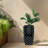 XBrand 23.8'' H Black Decorative Outdoor Water Fountain with LED Light and Integrated Planter
