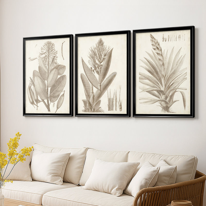 Sépia plantes exotiques I - Toile tendue avec châssis sur mesure - 3 pièces, H 27 po x l 39 po, Noir