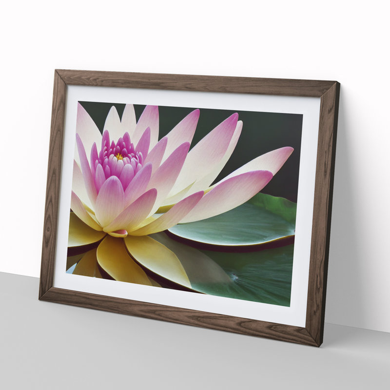 Innovative Water Lily Flower 1 Piece Single Picture Frame Wall Art, 46cm H x 64cm W x 2cm D, Walnut