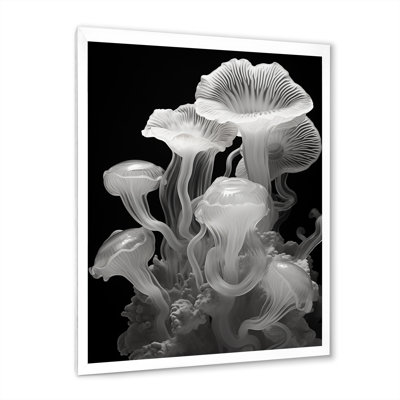 " Black And White Jellyfish Luminous Drifters "