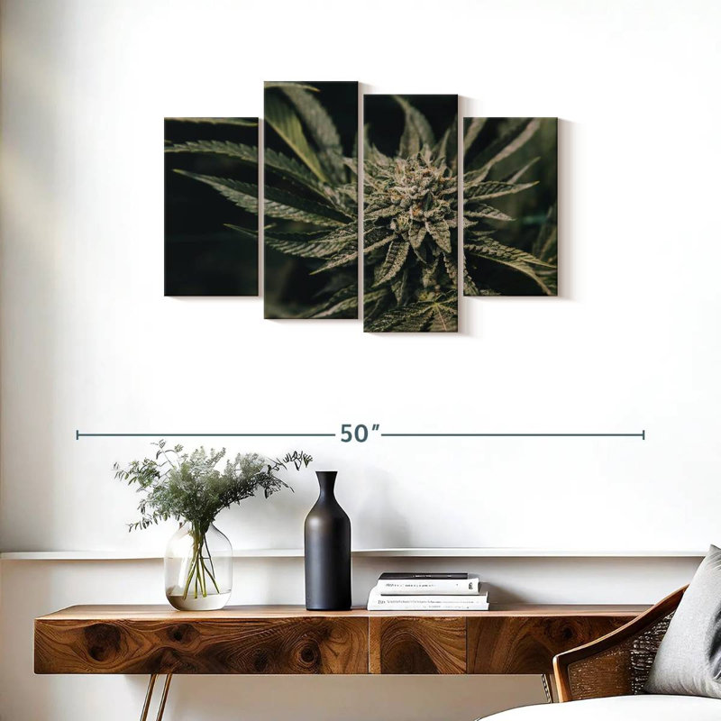 Plante de marijuana Senne, H 22 po x l 36 po