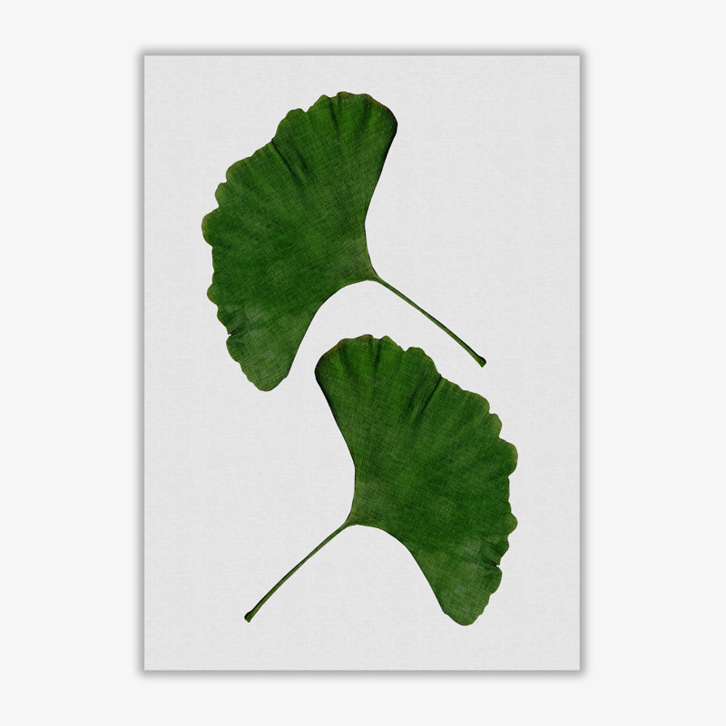 Ginkgo Leaf II - Print, No Frame, 60 cm H x 42 cm W x 1 cm D