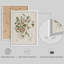 "Modern Morning Glory-101825606-101825602
