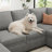 Caren Upholstered Sleeper Sectional Modular Sofa Bed With Ottoman-115354295