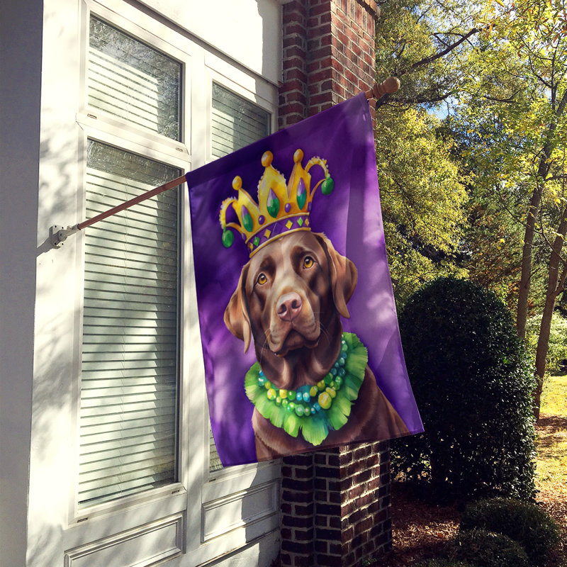 Double Sided 40'' H x 28'' W Polyester Mardi Gras House Flag
