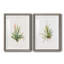 Gardenaire I - Ensemble de 2 peintures-450448190-450448134