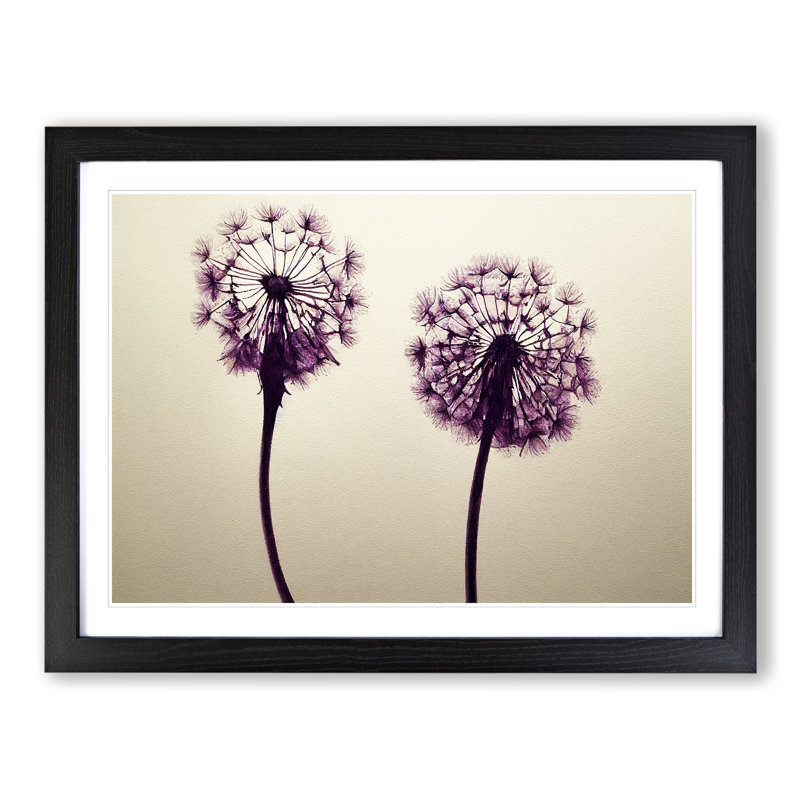 Dandelion Watercolour - Framed Print, Black, 34cm H x 46cm W x 2cm D