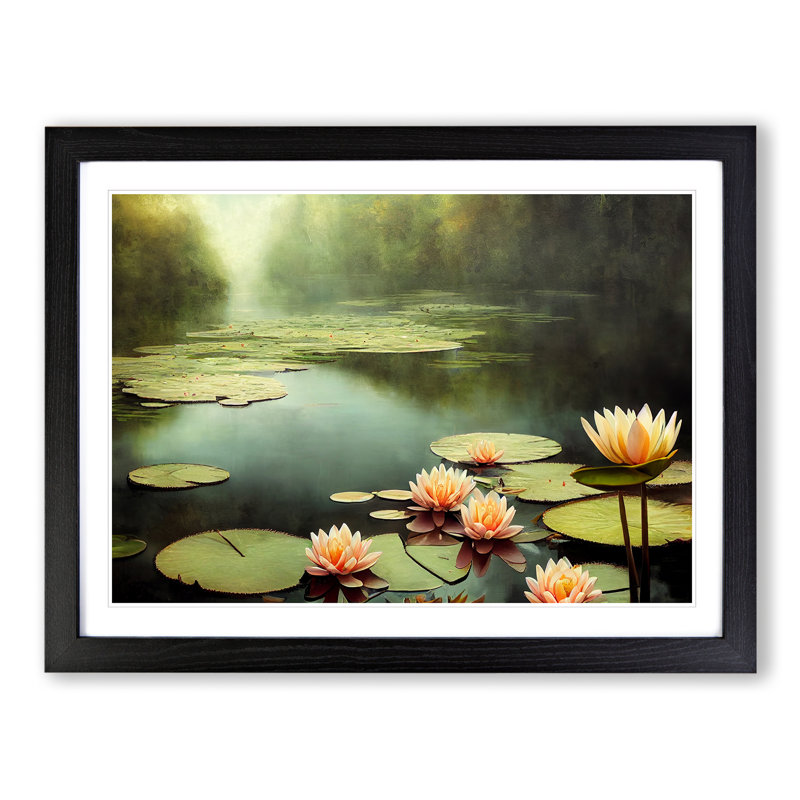 Misty Water Lily Pond - Framed Print, Black Framed, 46cm H x 64cm W
