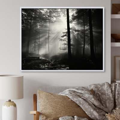 Black And White Forest Silence Photography I - Forest Framed Prints