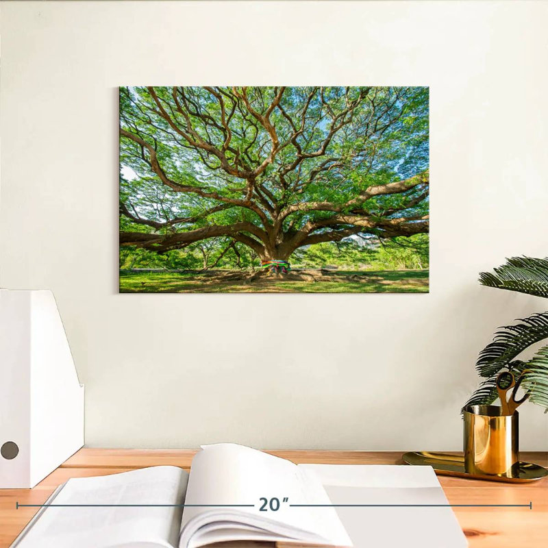 Vieil arbre Harnek, H 8 po x l 12 po