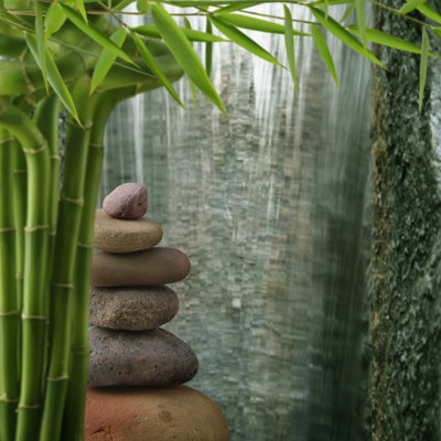 Organic Feng Shui by Pixhook - Wrapped Canvas Print