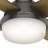 Ceiling Fan with LED Lights-84707496