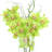 Orchid Arrangement in Vase