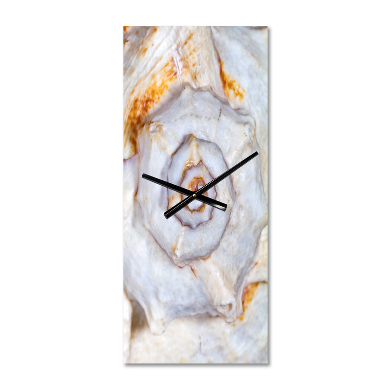 Grand squelette de coquillage - horloge murale moderne, Grand