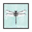 «Dragonfly I», reproduction sur toile-31850912-73211701-73211702