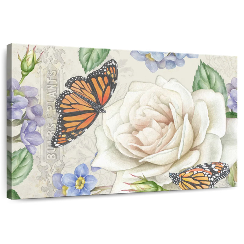 Jardin de roses Harnek en fleurs IV, H 8 po x l 12 po