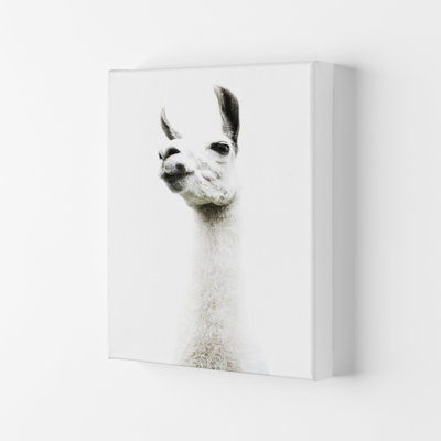 Llama II 1 Piece Wall Art
