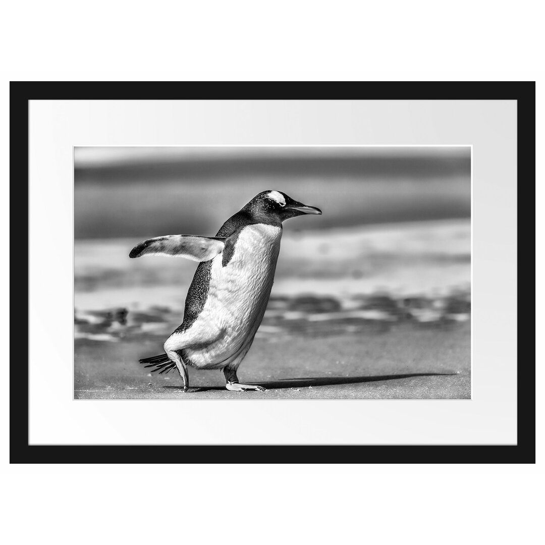 Gerahmtes Poster Pinguin am Strand