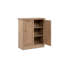 Chouhan Rectangle Storage Unit Accent Chest