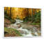 Forêt, cascade, arbres jaunes - reproduction de photo-1185076754-1185076772-1113129307