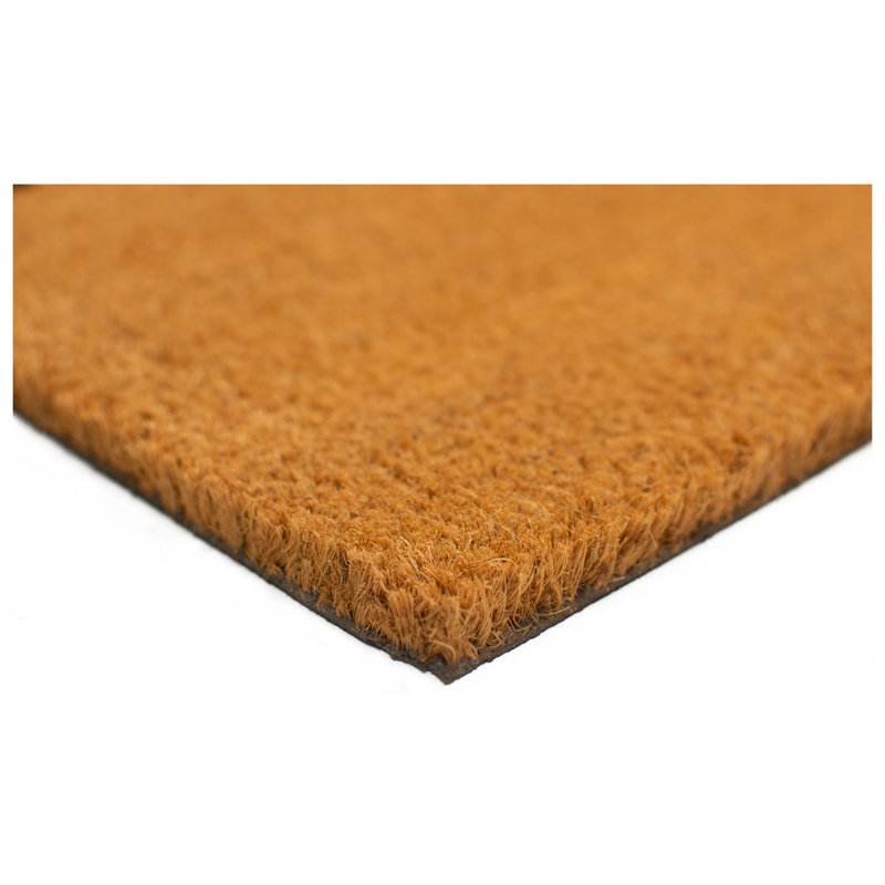 Indoor Doormat, 24" W x 48" L