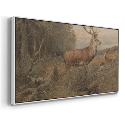 Vintage Animal Series-XLVII- Framed Gallery Wrapped Canvas -Ready to Hang