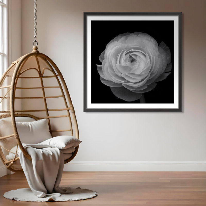 "Ranunculus", reproduction d'art encadrée par Lotte Gronkjar, L 16 po x H 16 po
