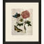 Crackled Insect Collection 5 Painting