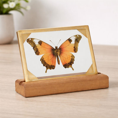 Décoration de table encadrée papillon L 9 po