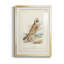 Hawk Owl - reproduction de cadre photo-265332222-265332223