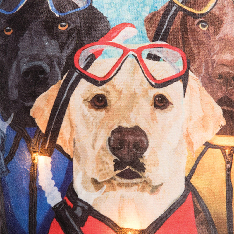 Butoir de sol pour chien avec tuba