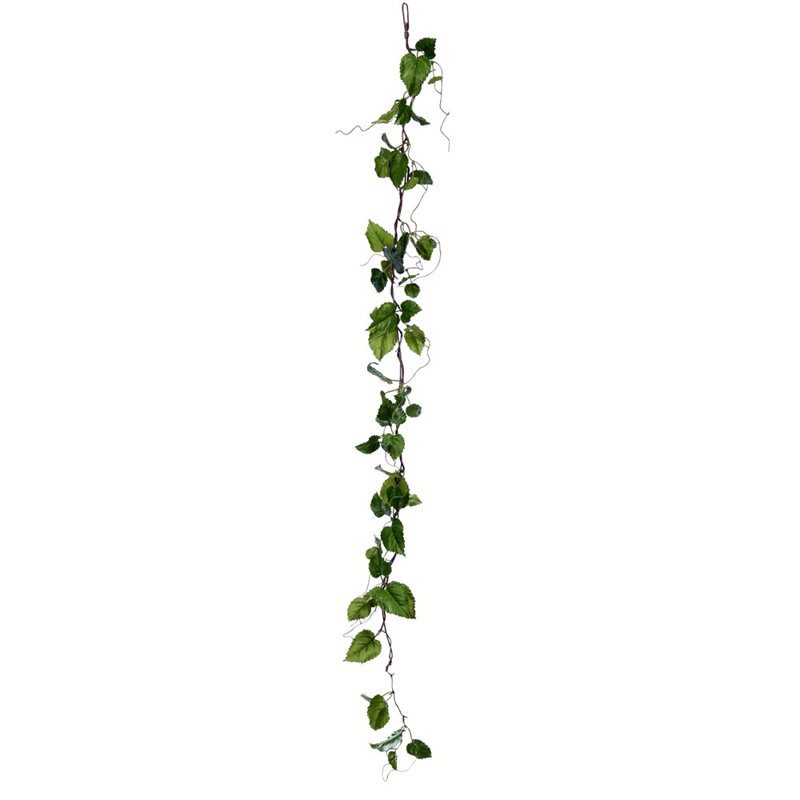 Guirlande de feuilles 4,67 'hop