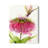 " Dragonfly And Zinnia "-34000472-34143266