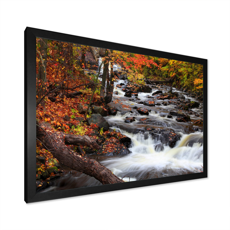 «Water Falls In Autumn Forest», reproduction d'art sur toile, H 16 po x l 32 po x P 1 po, Impression noire sur toile encadrée