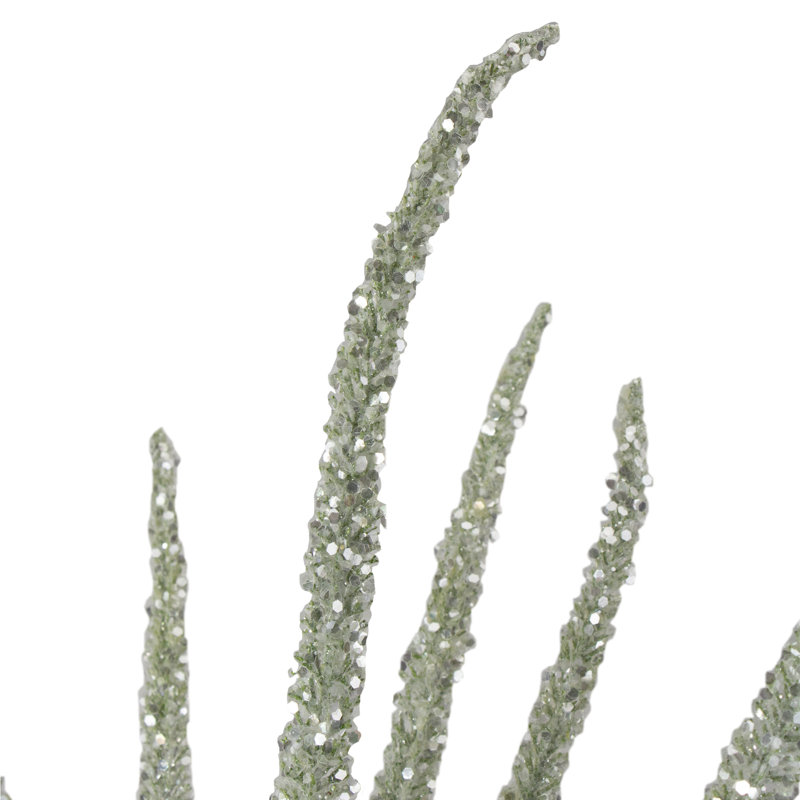 25 plantes
