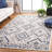 Nagelly Performance Southwestern Rug-1735043571