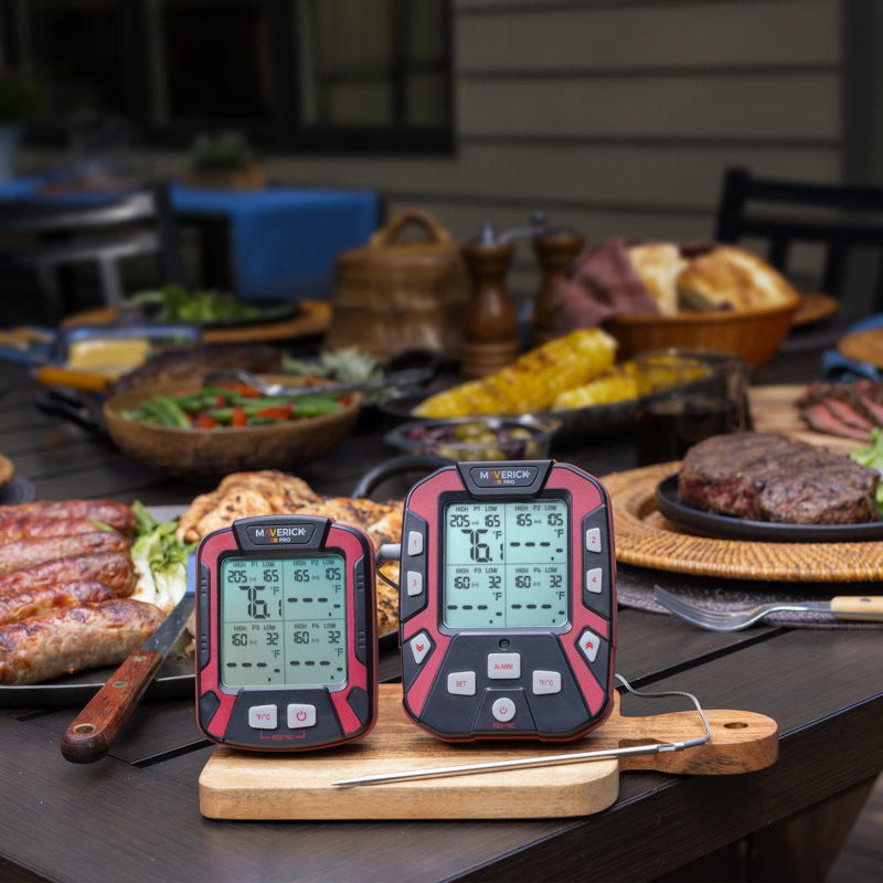 Extended Range Professional Wireless Thermometer, Four Probe
