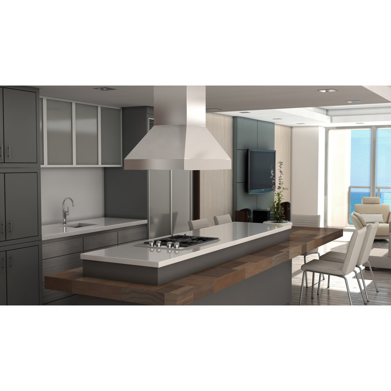48" Professional 500 CFM Ducted Island Range Hood in Brushed Stainless Steel