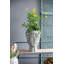 Statue Planter