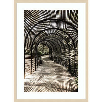 Nihan "Shadow Garden" Print