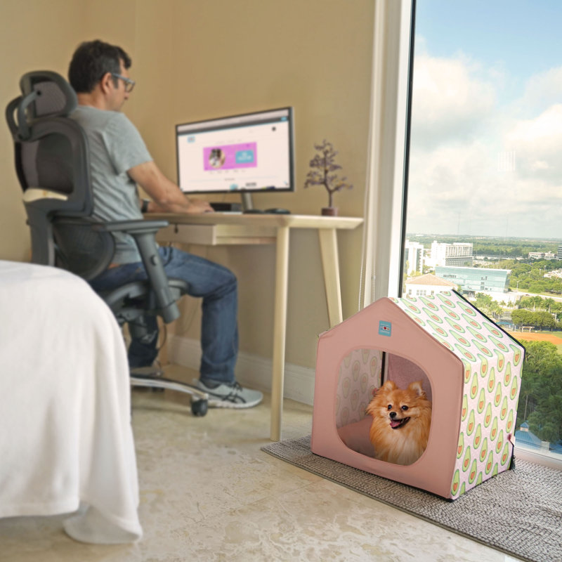 Plastic Collapsible Pet Soft-Sided Crate