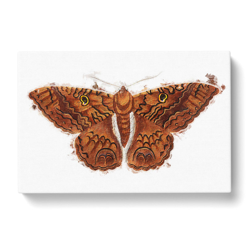 Sable Moth by George Shaw - Wrapped Canvas Print, 40cm H x 60cm W x 3cm D