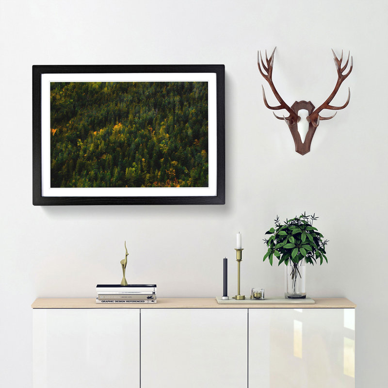Autumn Forest in Switzerland - Picture Frame Painting Print, Black, 45cm H x 63cm W x 2cm D
