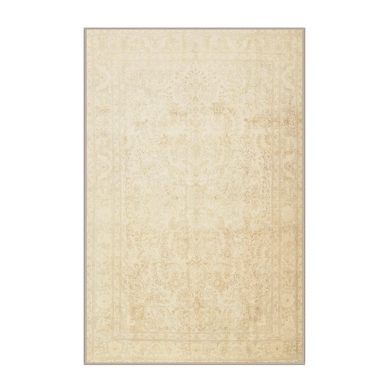 Aiyat Oriental Indoor Rug, Rectangle 4' x 6'